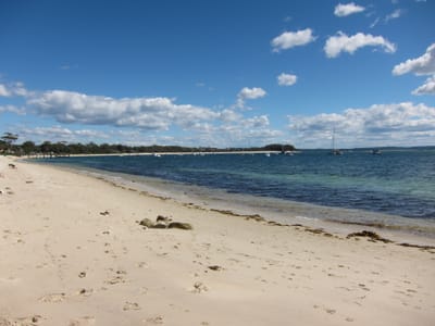 IMG_5702.JPG