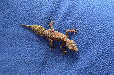 DSC_1574.jpg