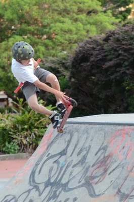 DSC_7995.JPG