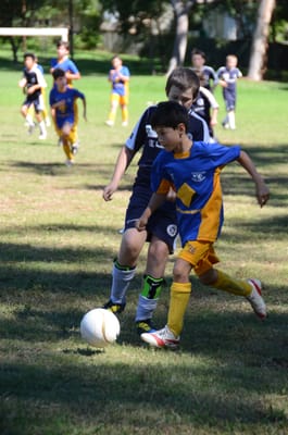 DSC_1707.JPG