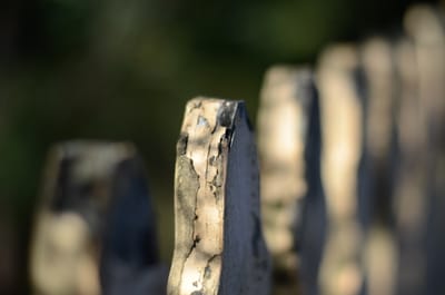 DSC_7246.JPG