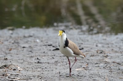 DSC_5568.JPG