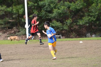 DSC_5063.JPG