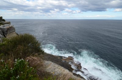 DSC_5206.JPG