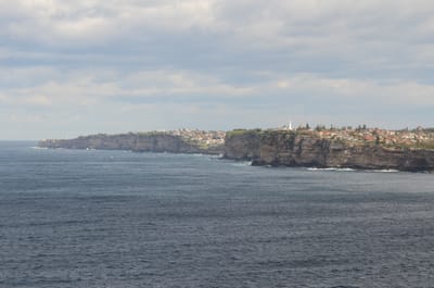 DSC_5223.JPG