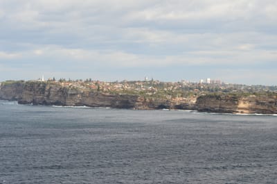 DSC_5224.JPG