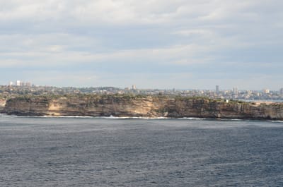 DSC_5225.JPG