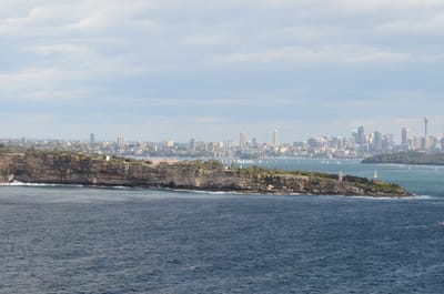 DSC_5226.JPG