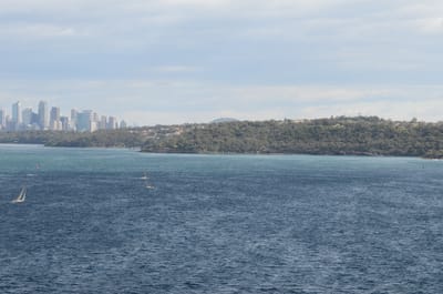 DSC_5228.JPG