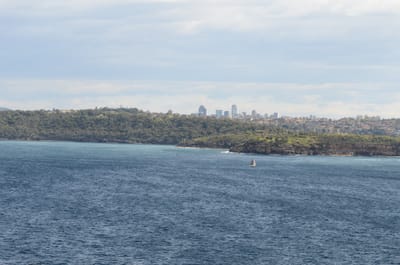 DSC_5229.JPG