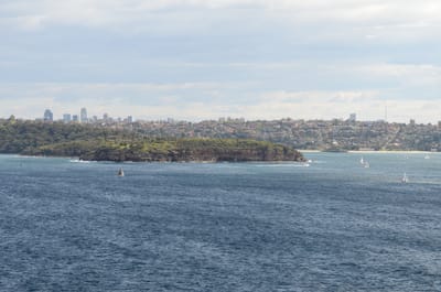 DSC_5230.JPG