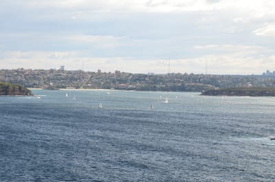 DSC_5231.JPG