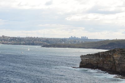 DSC_5232.JPG