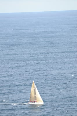 DSC_5233.JPG