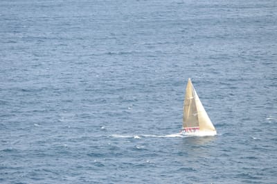 DSC_5234.JPG