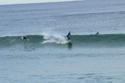 DSC_5240.JPG