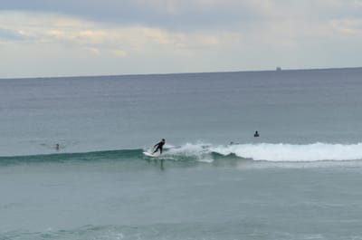 DSC_5250.JPG