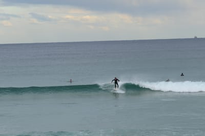 DSC_5251.JPG