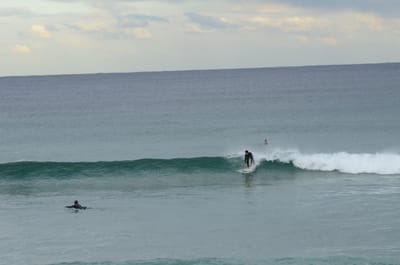 DSC_5252.JPG