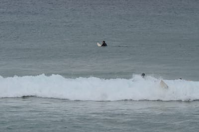DSC_5255.JPG