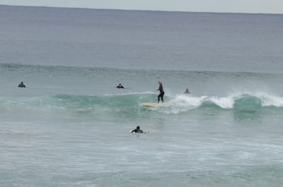 DSC_5256.JPG