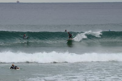DSC_5260.JPG
