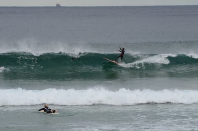 DSC_5261.JPG