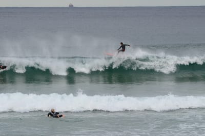 DSC_5262.JPG