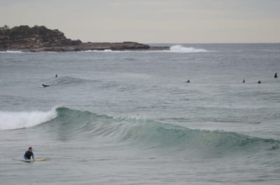 DSC_5264.JPG