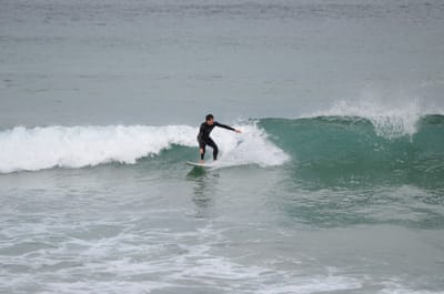 DSC_5265.JPG