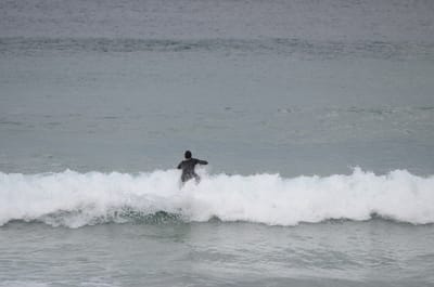 DSC_5267.JPG