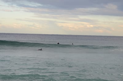 DSC_5272.JPG
