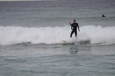 DSC_5273.JPG