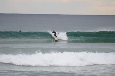 DSC_5275.JPG