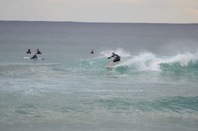 DSC_5282.JPG