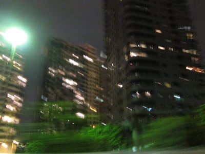 IMG_7538.JPG