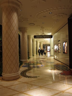 IMG_5204.JPG