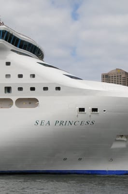 DSC_9165.JPG