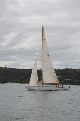DSC_9208.JPG