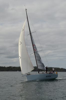 DSC_9213.JPG