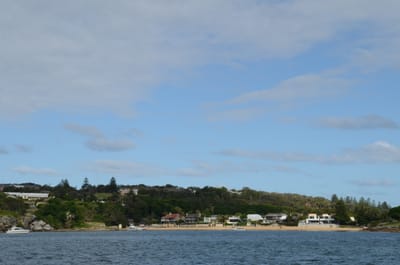 DSC_9225.JPG