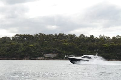 DSC_9259.JPG