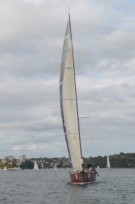 DSC_9281.JPG