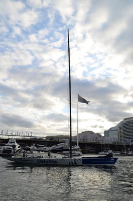 DSC_9379.JPG