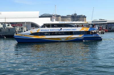DSC_4040.JPG