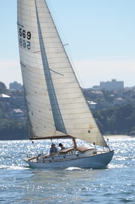 DSC_4061.JPG