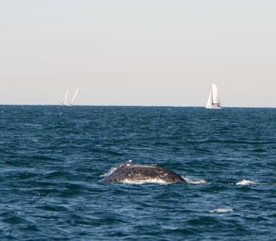 DSC_4138.JPG