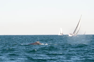 DSC_4147.JPG
