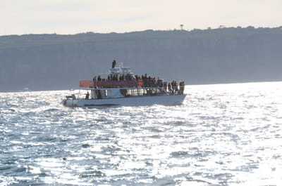 DSC_4159.JPG