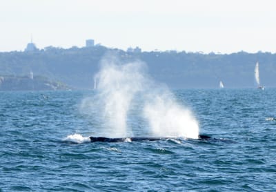 DSC_4164.JPG